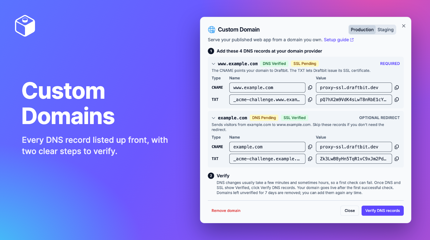 Custom domain dialog listing every DNS record, grouped by domain
